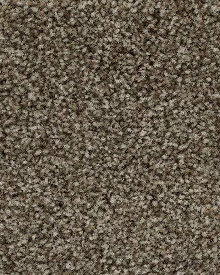 Superior Selection Melted Caramel Carpet