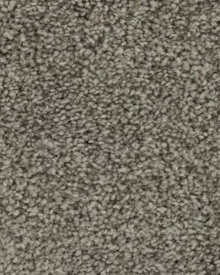 Superior Selection Mindful Carpet