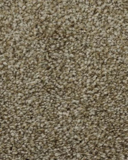 Superior Selection Sparkling Cider Carpet