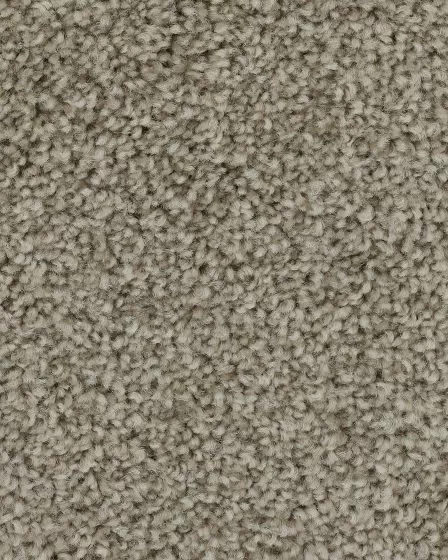 Superior Selection Stellar Carpet