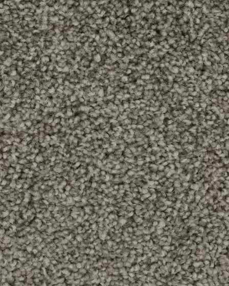 Superior Selection Taupe Shadow Carpet