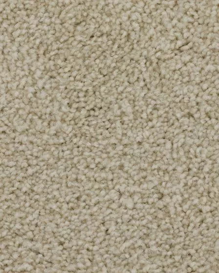 Superior Selection Winter Wind Carpet