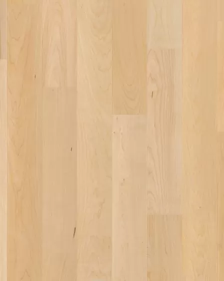 Natural Classics Hard Maple 5" Hardwood