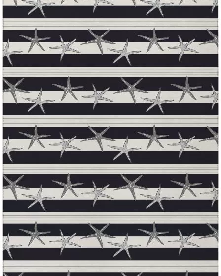 Seabreeze SZ12 Black Area Rug