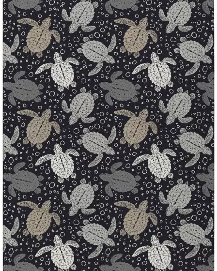 Seabreeze SZ13 Black Area Rug