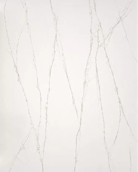 Tempo Valore Quartz Countertop