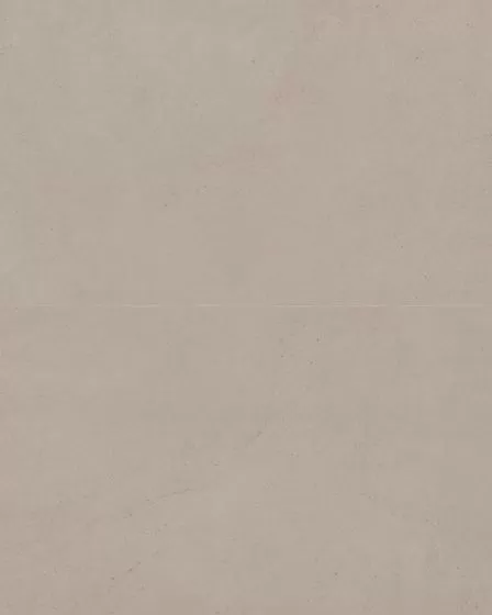 Thaddeus Taupe Matte Glazed Porcelain 24"x48" Field Tile