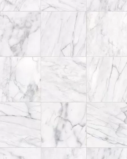 Timeless Stone Carrara Marble Tile