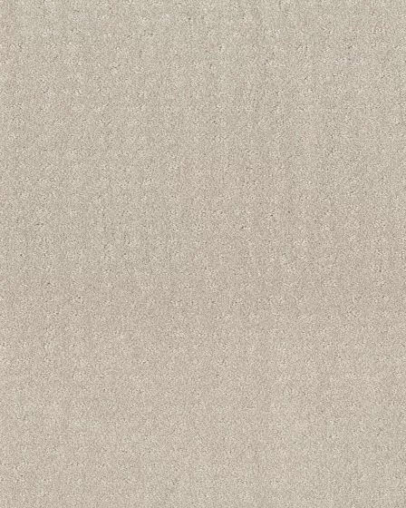 Trendy Nylon 34oz Carpet