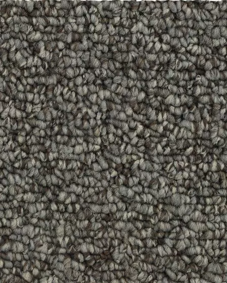 True Amazement EverStrand Carpet