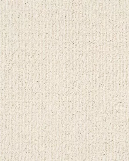 Truly Delightful Patterned Nylon Carpet