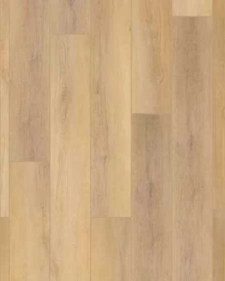 COREtec Pro Plus HD 9"x72" Canterbury Elm Luxury Vinyl