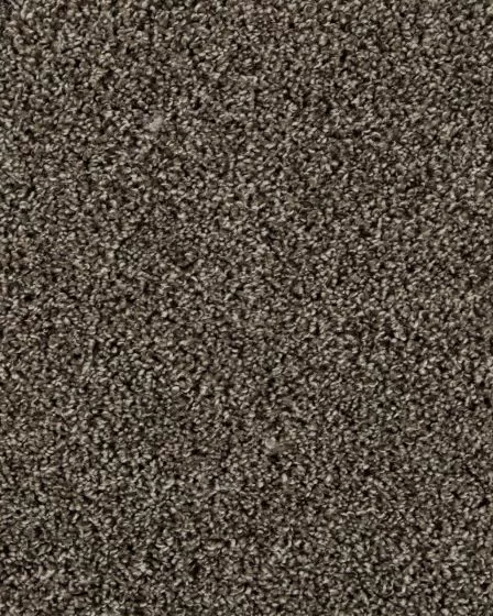 Value 42 Spice Brown Textured Everstrand 42oz Carpet