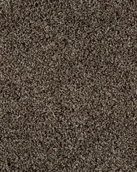 Value 60 Spice Brown Textured Everstrand 57oz Carpet