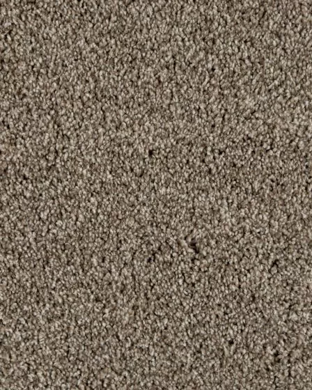 Value 60 Tuscan Tan Textured Everstrand 57oz Carpet