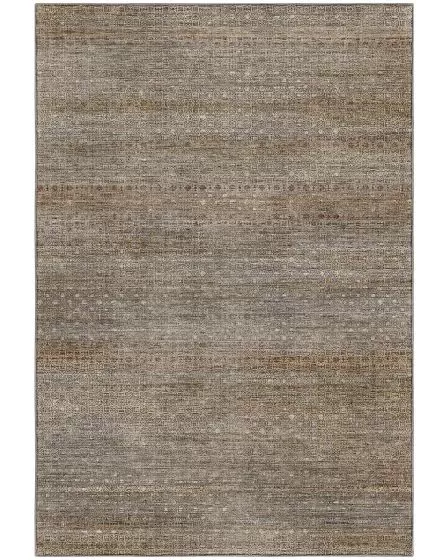 Vico VC5 Beige Area Rug