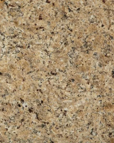Venetian Gold Granite Countertop