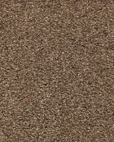 Vivid Awakening Textured SmartStrand Carpet