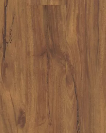 COREtec Plus 5"x48" Gold Coast Acacia Luxury Vinyl