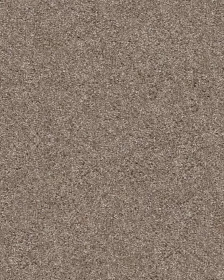 Yes You Can I Cameo Carpet