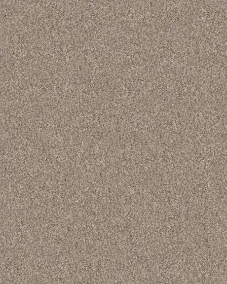 Confidence II Natural Textured Carpet