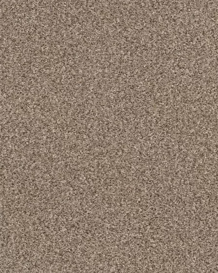 Yes You Can I Textured 43oz Carpet