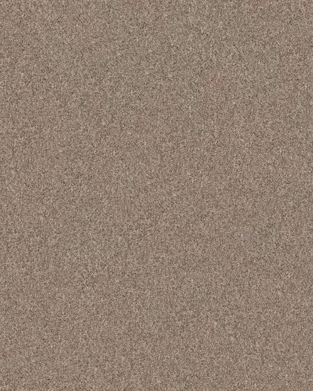 Confidence III Subtle Clay Carpet