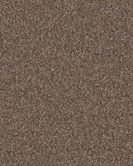 Confidence III Worn Path Carpet