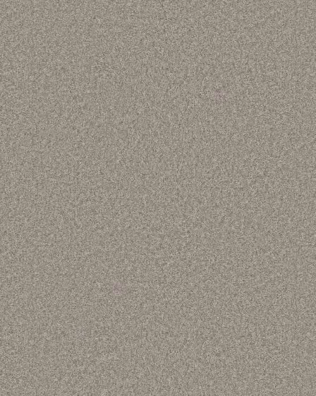 Positively Radiant III Chic Greige Carpet