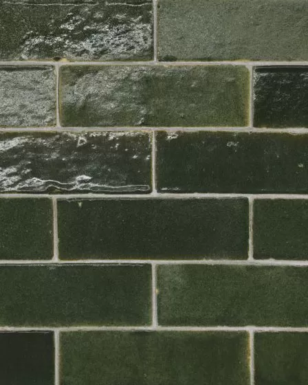 Zagora Vert Mousse Glossy Glazed Ceramic 2"x6" Field Tile