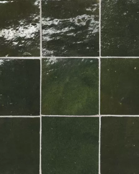 Zagora Vert Mousse Glossy Glazed Ceramic 4x4" Field Tile