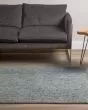 Calisa CS5 Carbon Area Rug