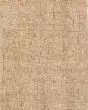 Calisa CS5 Desert Area Rug