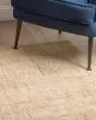 Calisa CS5 Desert Area Rug