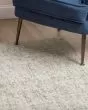 Calisa CS5 Fog Area Rug