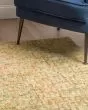 Calisa CS5 Meadow Area Rug