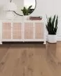Inspirations White Oak Timber 7" Hardwood