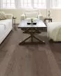 Raven Rock Brushed Greystone 5" Hickory Hardwood