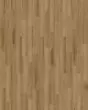 Cali Longboards Portola Pier Vinyl Plank