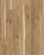 Cali Windansea Coastal Eucalyptus Vinyl Plank
