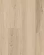 Cali Trestles Timber Beach Vinyl Plank
