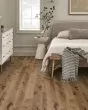 Transcendence Absolute 7" Hickory Hardwood