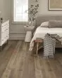 Transcendence Epitome 7" Hickory Hardwood