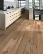 Transcendence Ascent 7" Hickory Hardwood