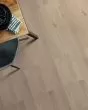 Coast To Coast Sandbar 7.5" White Oak Hardwood