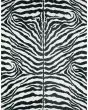 Akina AK1 Ivory Area Rug
