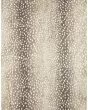 Akina AK3 Stone Area Rug