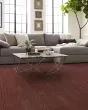 Albright Red Oak 3.25" Cherry Hardwood