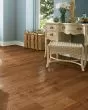 American Scrape Hickory 5" Gold Rush Hardwood