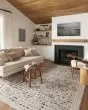 Amira AMI-03 Ivory/Multi Area Rug